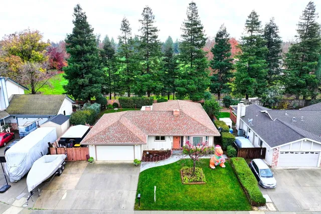 a aerial view of a house with a yard and potted plants
