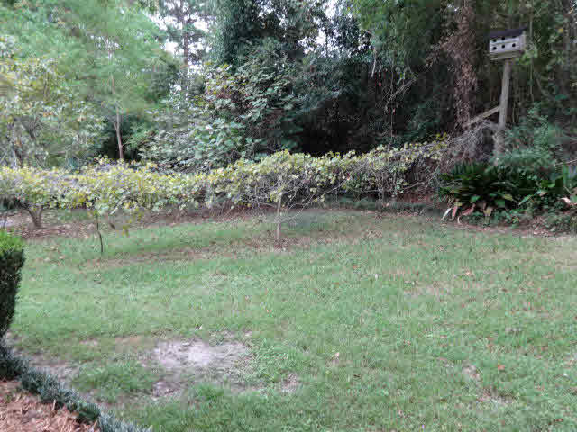 198 Ridgewood Drive Daphne, AL 36526 - Photo 3 of 15