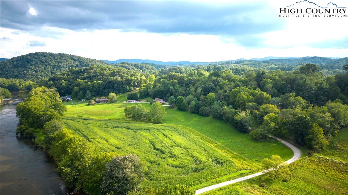 2161 River Bend Road Mouth Of Wilson, VA 24363 - Photo 7 of 47 a view of a big yard with large trees