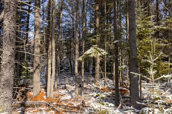 $570,000 | M11-l3 Stud Mill Road, Greenbush, ME 04418