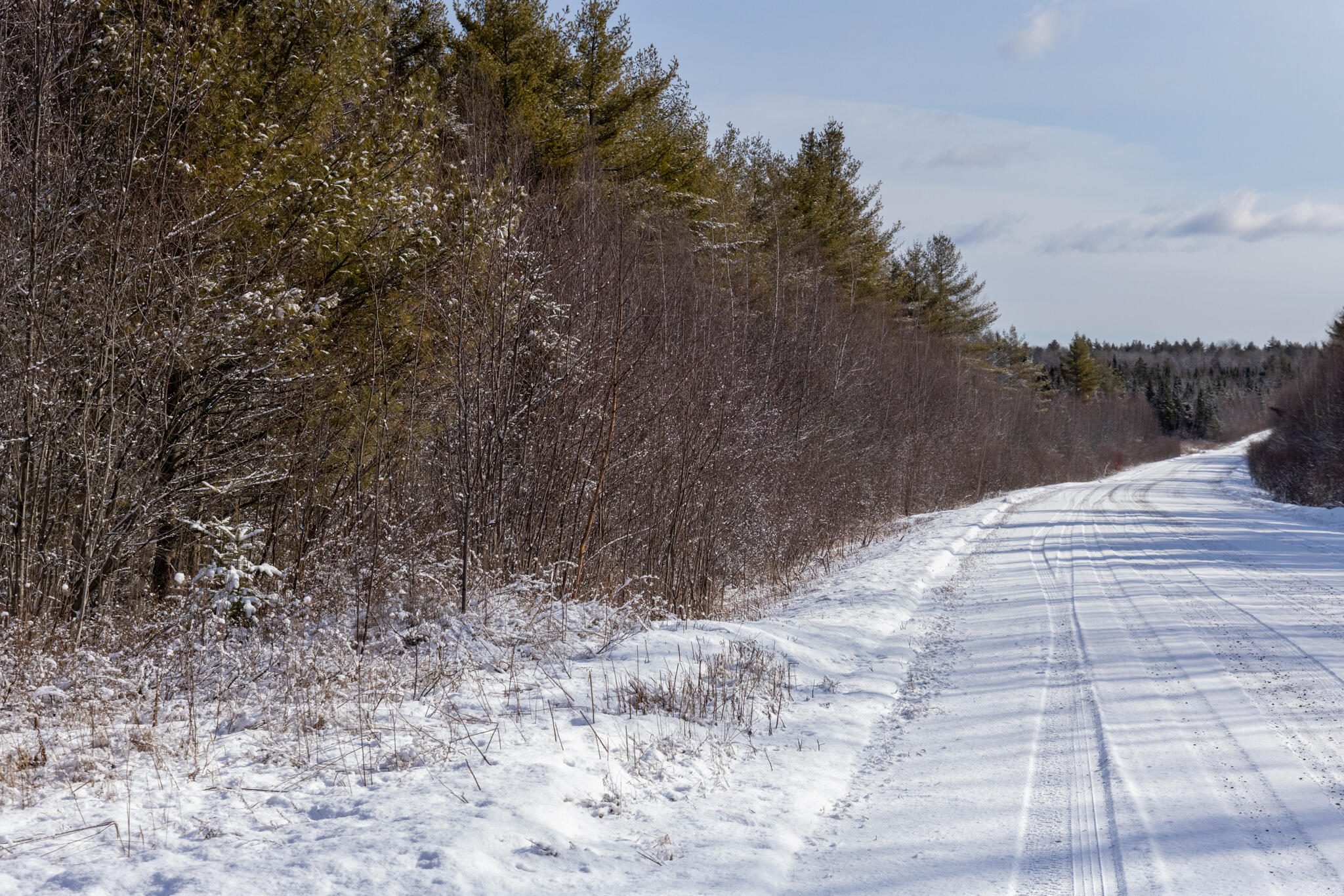 M11-l3 Stud Mill Road Greenbush, ME 04418 - Photo 3 of 9 2026_03_15 Milford Buzzy Brk-8