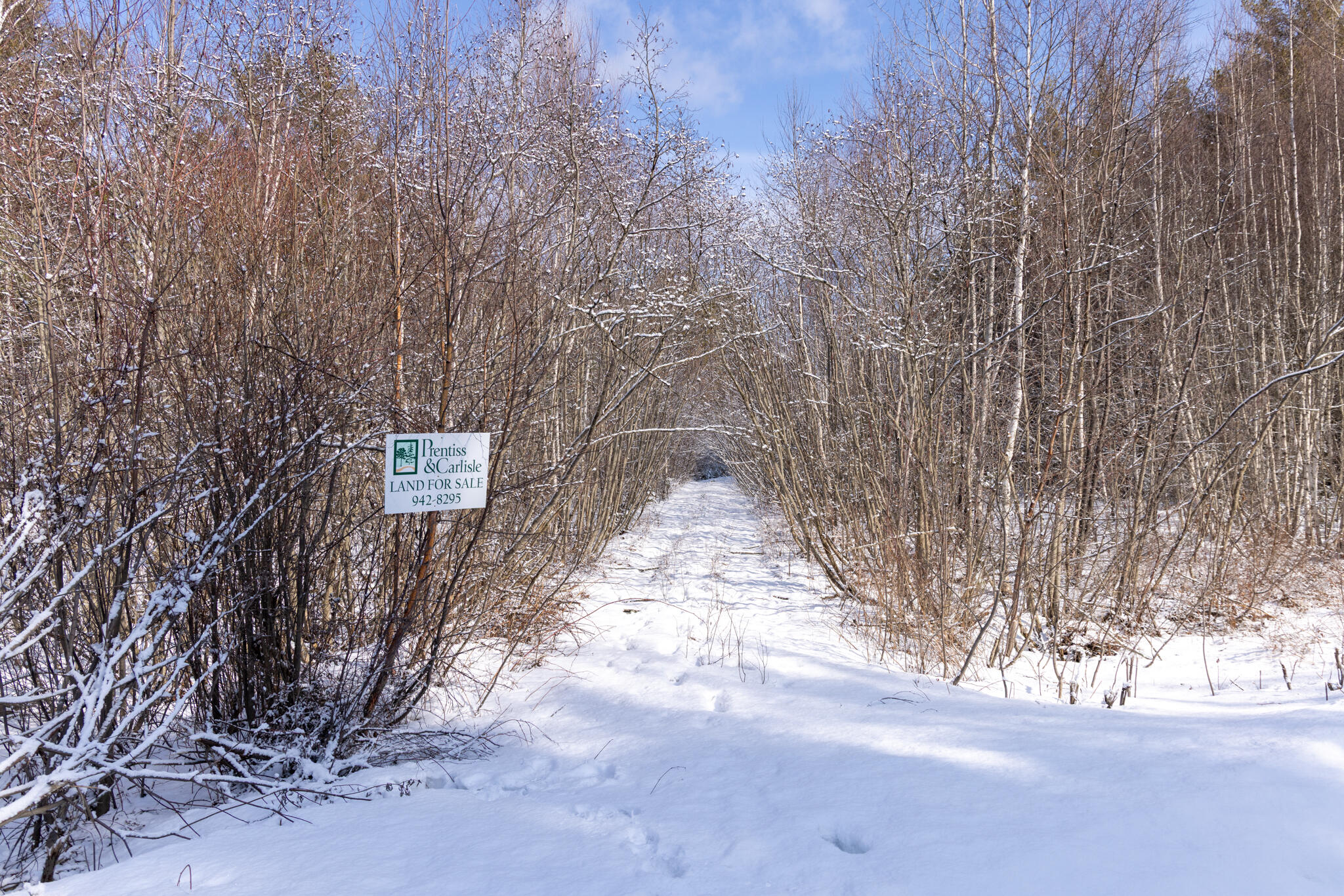 M11-l3 Stud Mill Road Greenbush, ME 04418 - Photo 6 of 9 2026_03_15 Milford Buzzy Brk-17
