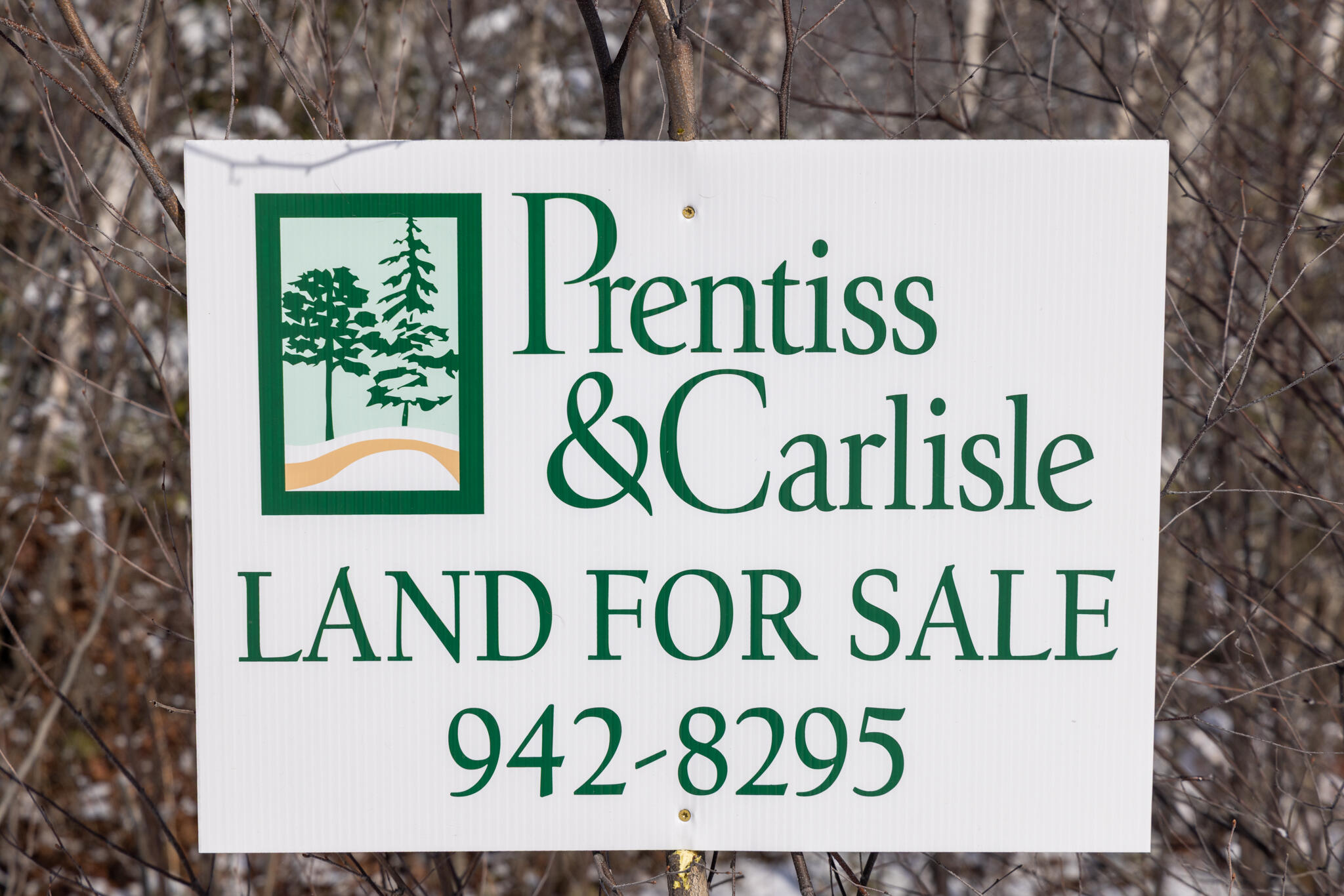 M11-l3 Stud Mill Road Greenbush, ME 04418 - Photo 9 of 9 2026_03_15 Milford Buzzy Brk-15