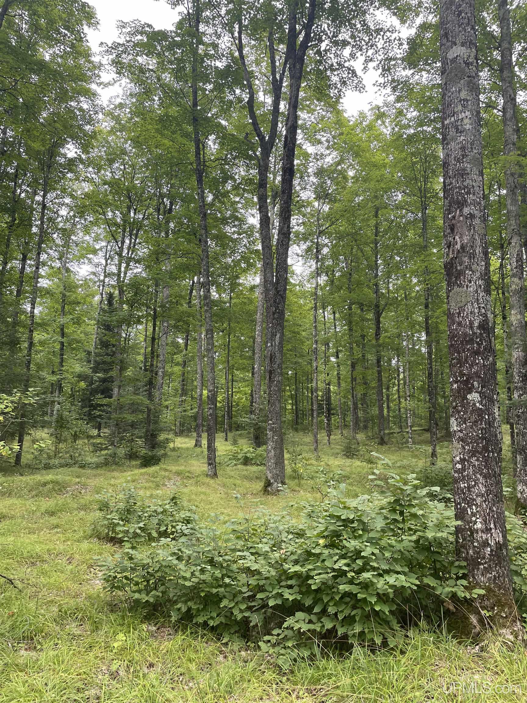 Tbd Tbd County Road, Unit 1 Cornell, MI 49818 - Photo 30 of 41