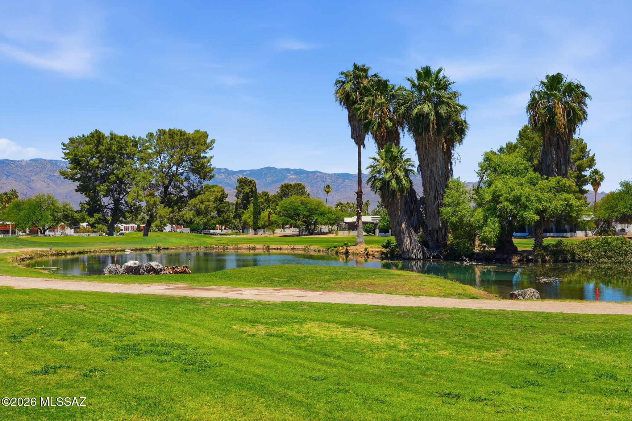 1342 North Via Ronda Oriente Tucson, AZ 85715 - Photo 40 of 41 Pond Golf Course behind House