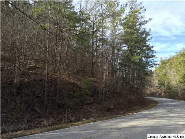 734 Valley Grove Road, Unit 15 4 ACR Remlap, AL 35133 - Photo 15 of 32