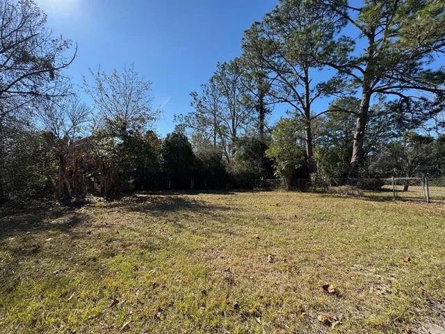 a view of a yard with trees