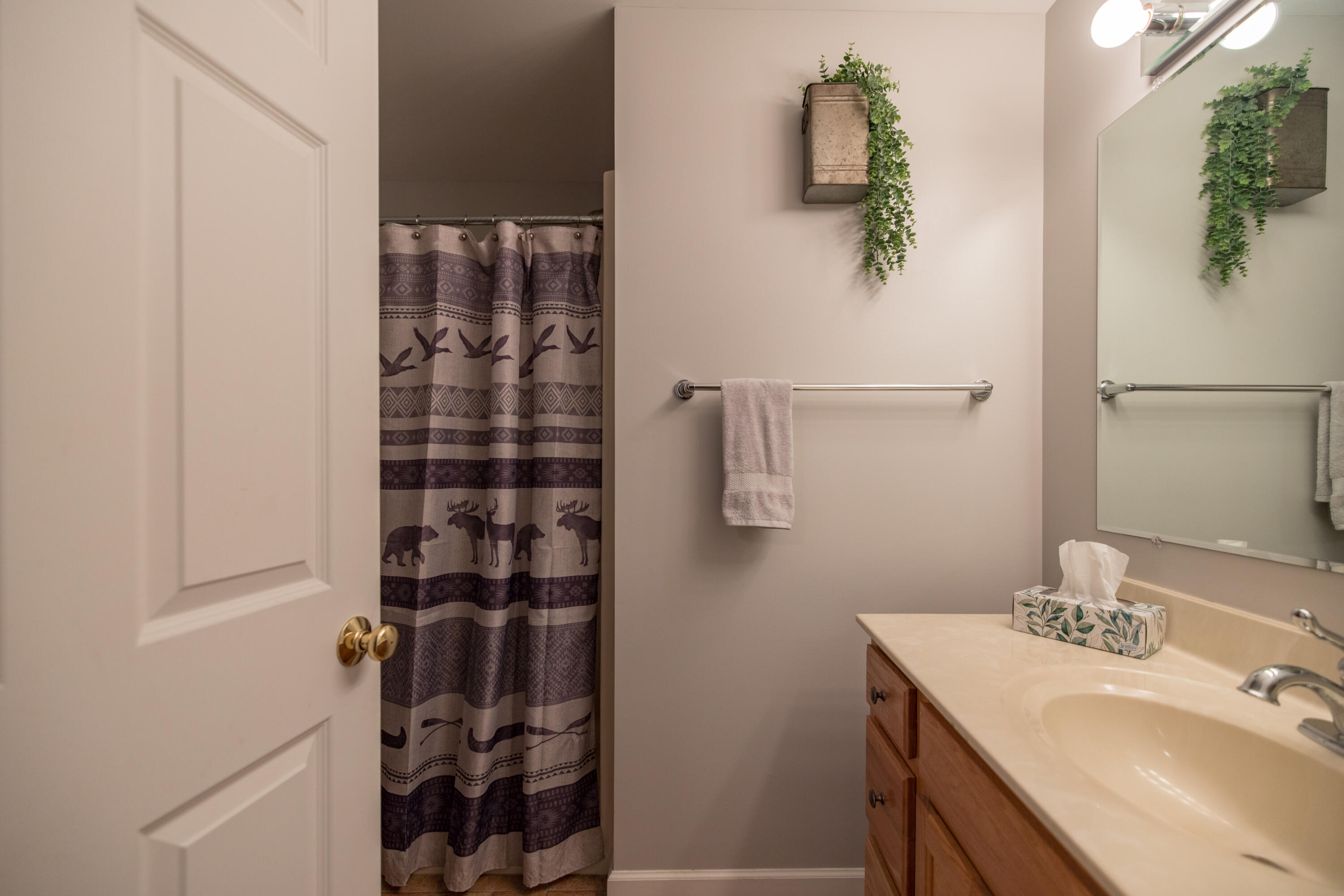 366 Childs Road Norridgewock, ME 04957 - Photo 24 of 57 6I3A6317