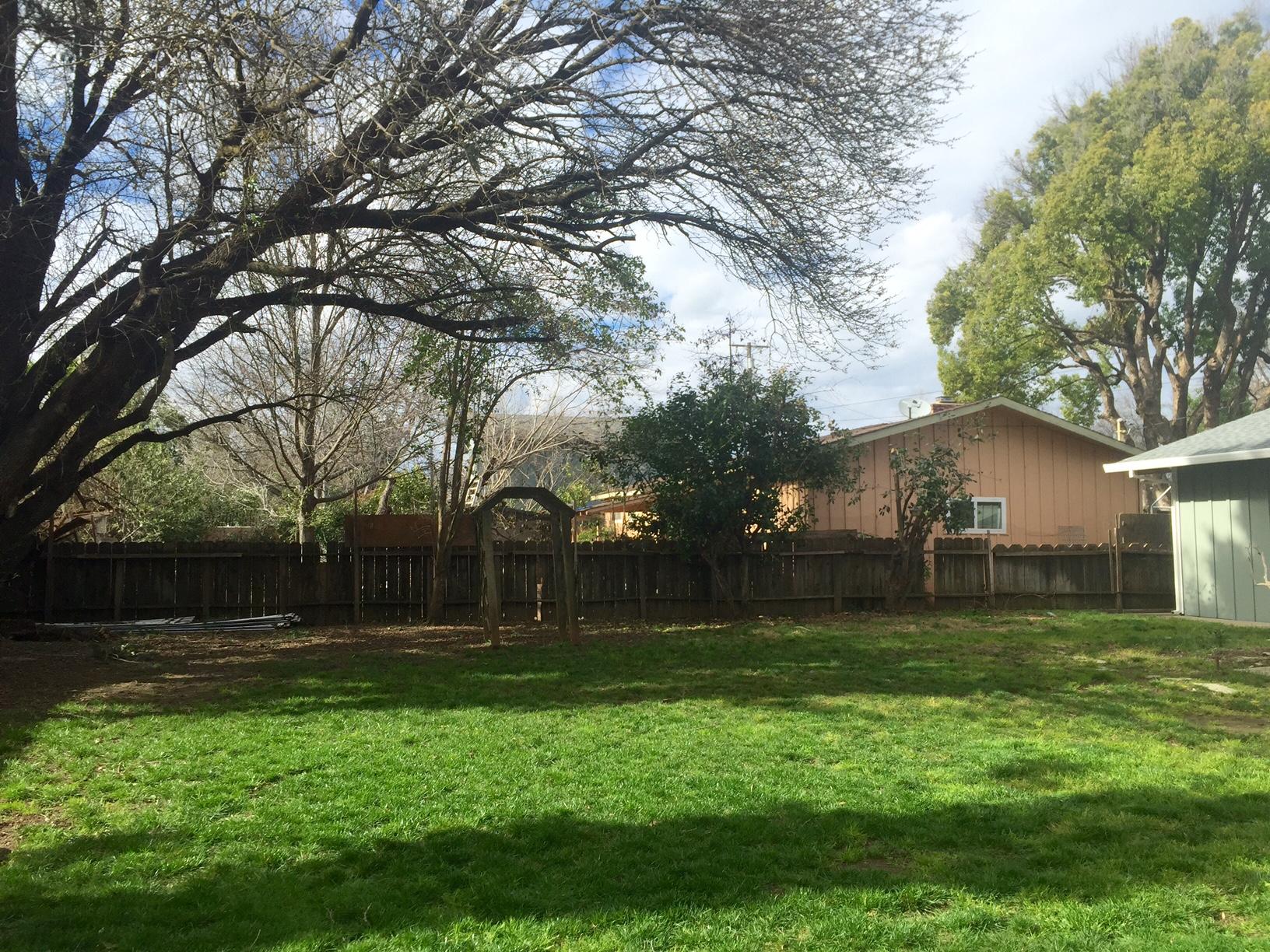 3400 Bardick Road Anderson, CA 96007 - Photo 2 of 8 Back Yard