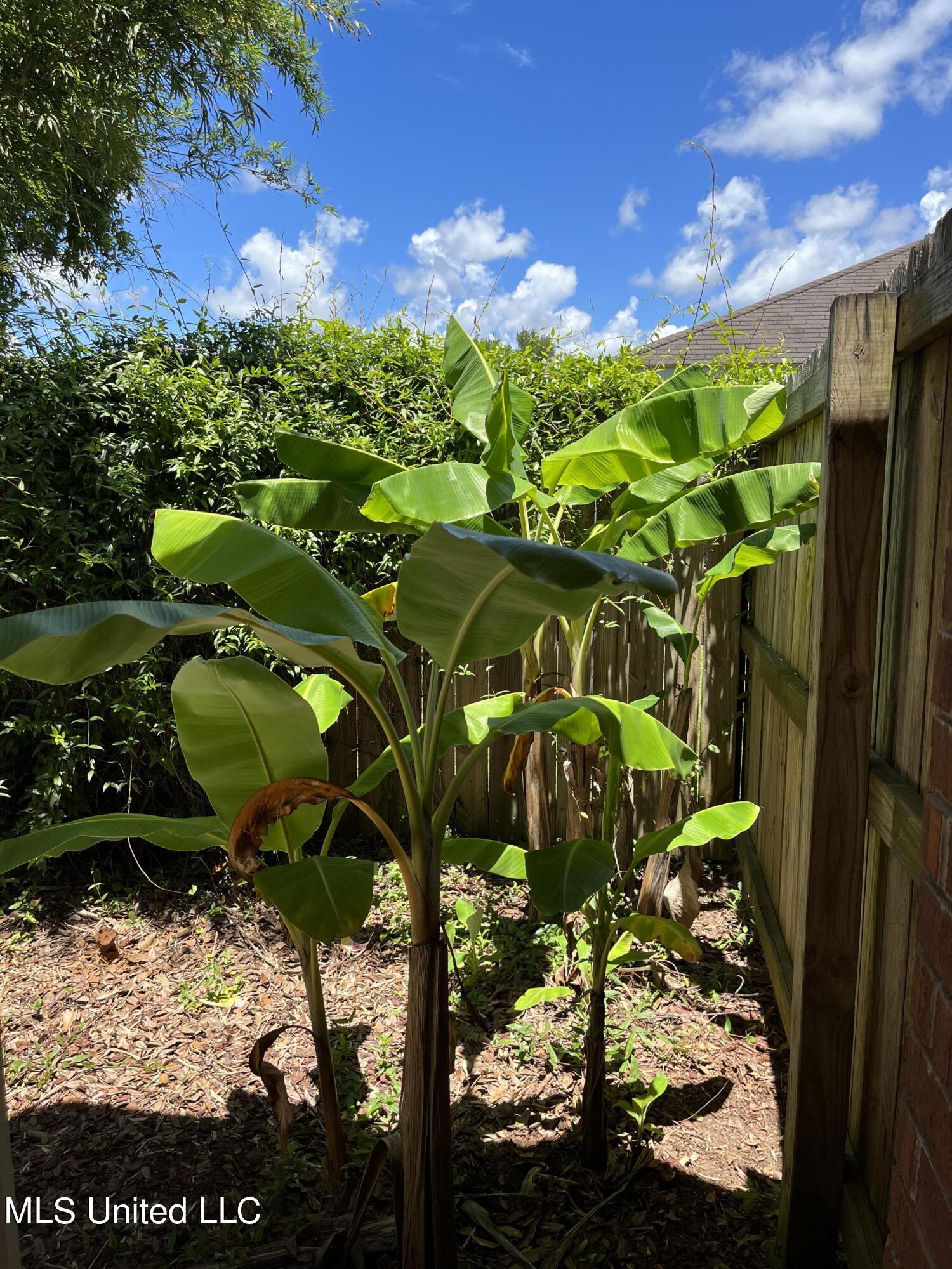 7726 Falcon Circle West Ocean Springs, MS 39564 - Photo 42 of 46 IMG_1774