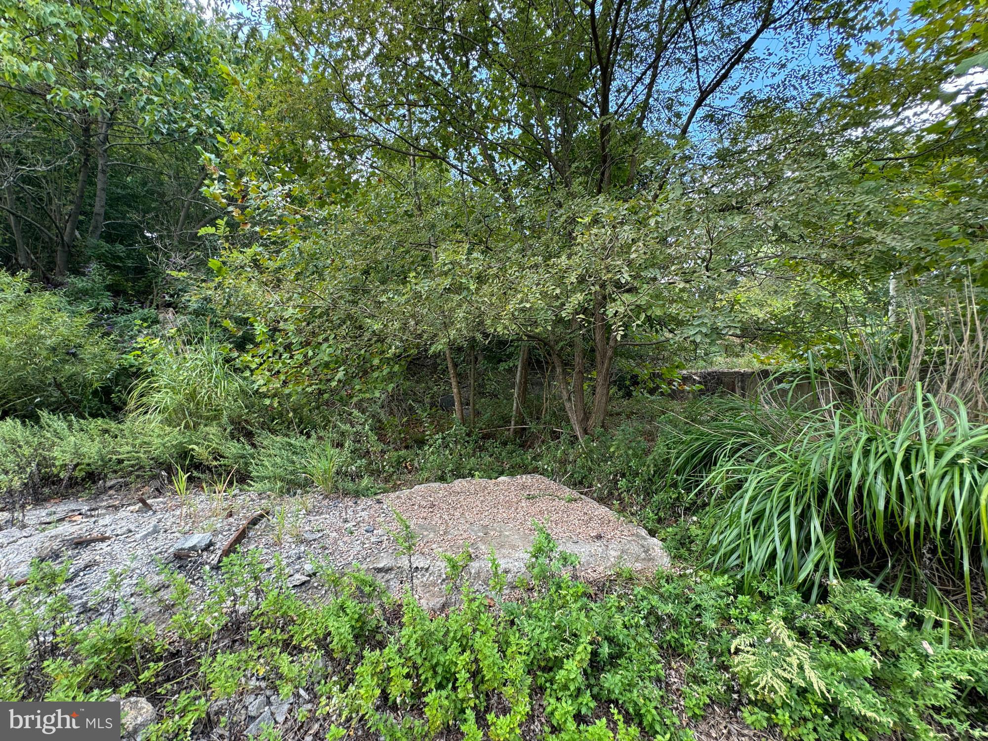 11931 Jericho Road Kingsville, MD 21087 - Photo 9 of 13 Gallery Image 9