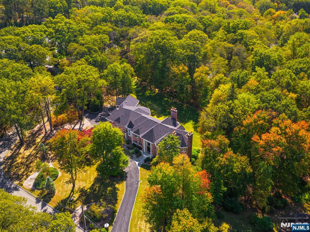 14 Werimus Brook Road Saddle River, NJ 07458 - Photo 50 of 50 a view of a house with a yard