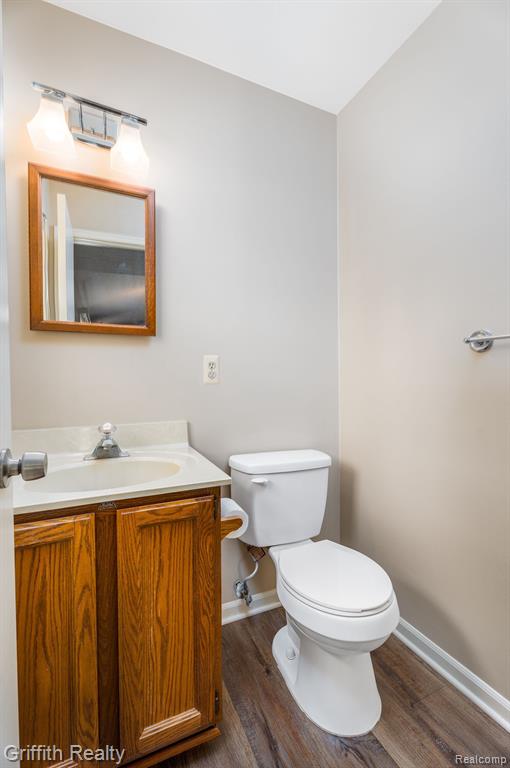 314 Cornell Street Howell, MI 48843 - Photo 17 of 28 Gallery Image 17