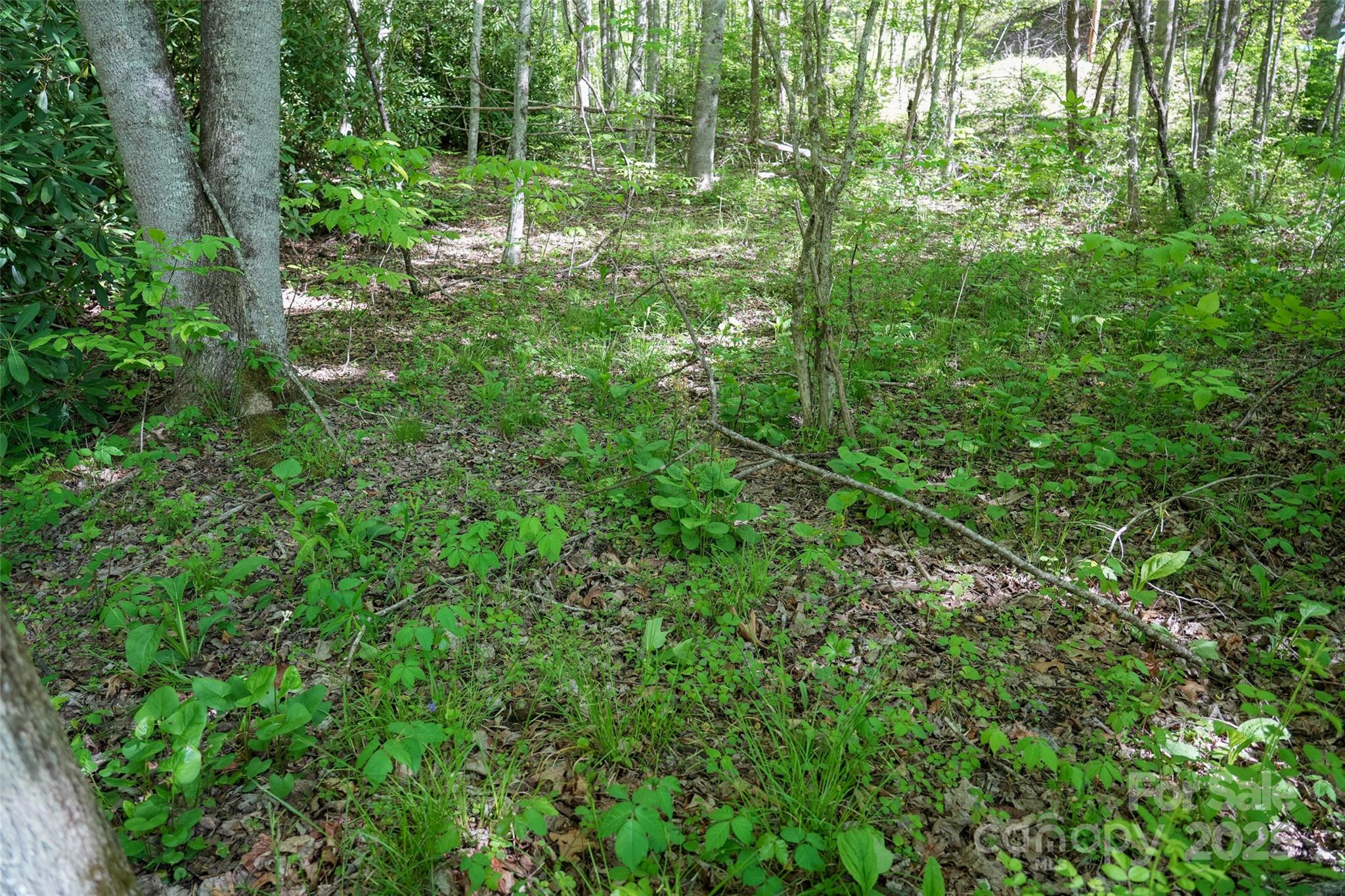 56 Hidden Valley Road Clyde, NC 28721 - Photo 12 of 30 Gallery Image 12