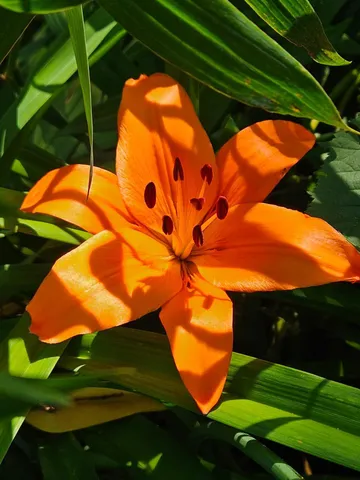 $584,900 | N5851 County Road A, Juneau, WI 53039