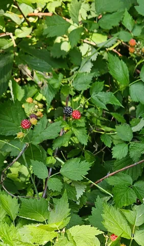 $584,900 | N5851 County Road A, Juneau, WI 53039