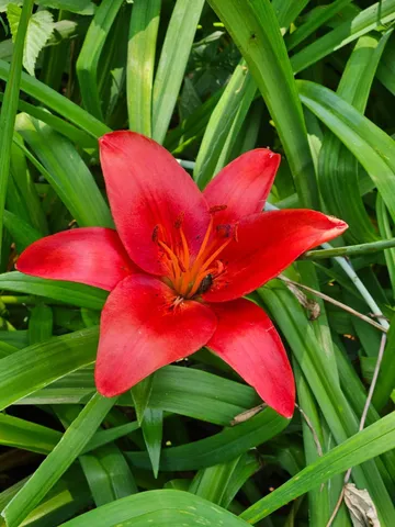 $584,900 | N5851 County Road A, Juneau, WI 53039