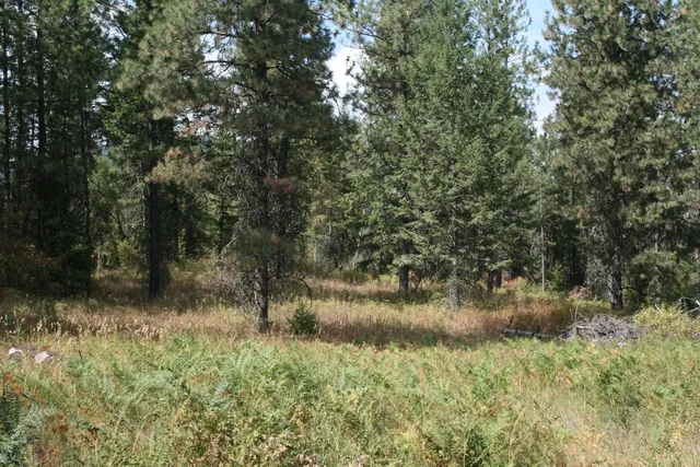 $79,000 | 0 Little Sweden Road, Unit LOT B, Valley, WA 99181