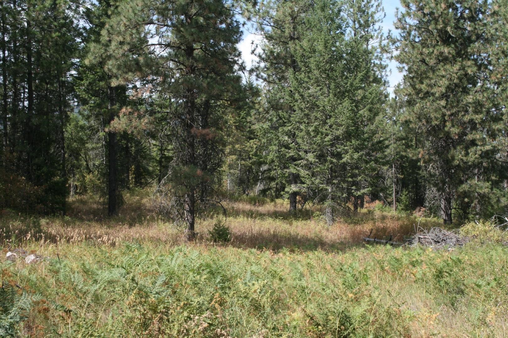 0 Little Sweden Road, Unit LOT B Valley, WA 99181 - Photo 4 of 7