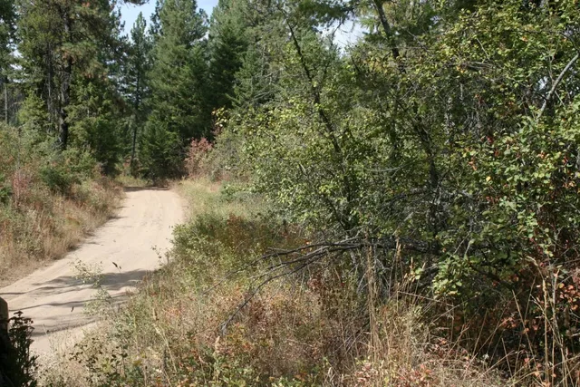 $79,000 | 0 Little Sweden Road, Unit LOT B, Valley, WA 99181