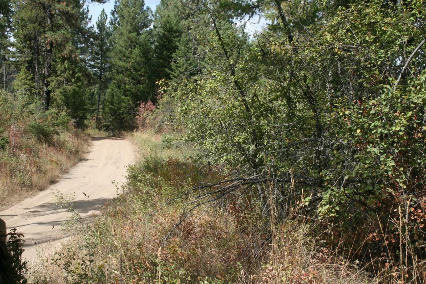 0 Little Sweden Road, Unit LOT B Valley, WA 99181 - Photo 5 of 7