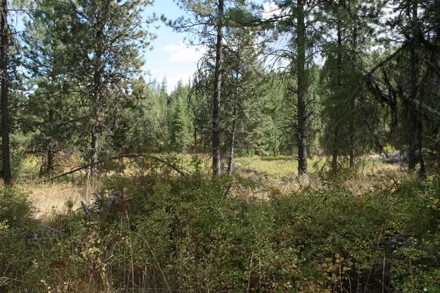 $79,000 | 0 Little Sweden Road, Unit LOT B, Valley, WA 99181