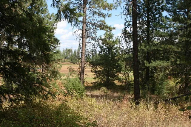 $79,000 | 0 Little Sweden Road, Unit LOT B, Valley, WA 99181