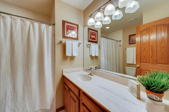 125 Briargate Road Cary, IL 60013 - Photo 14 of 24 a bathroom with a sink a mirror and a shower curtain