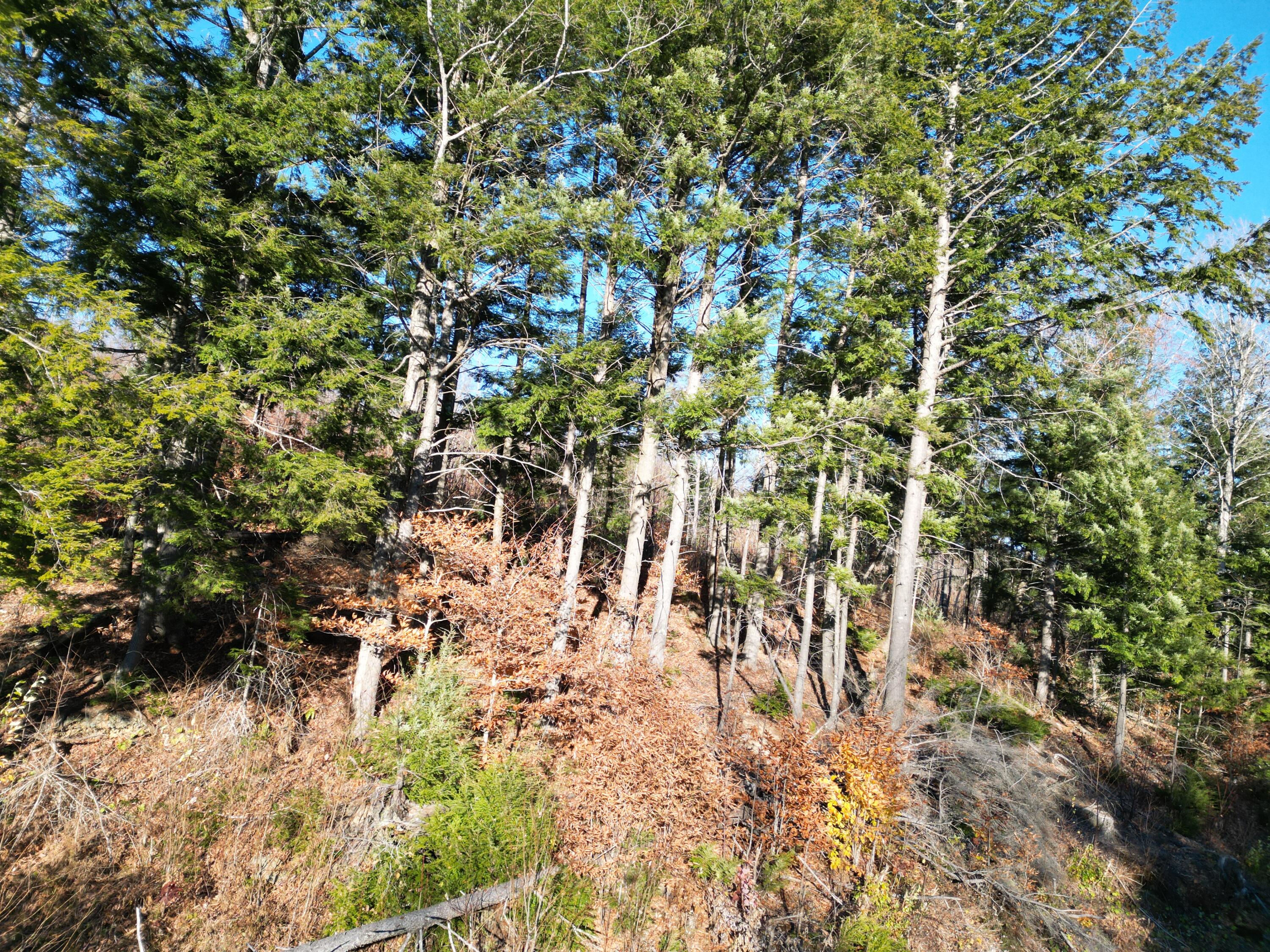 Lot 12 Ghost Road Springfield, ME 04487 - Photo 12 of 16 DJI_0918