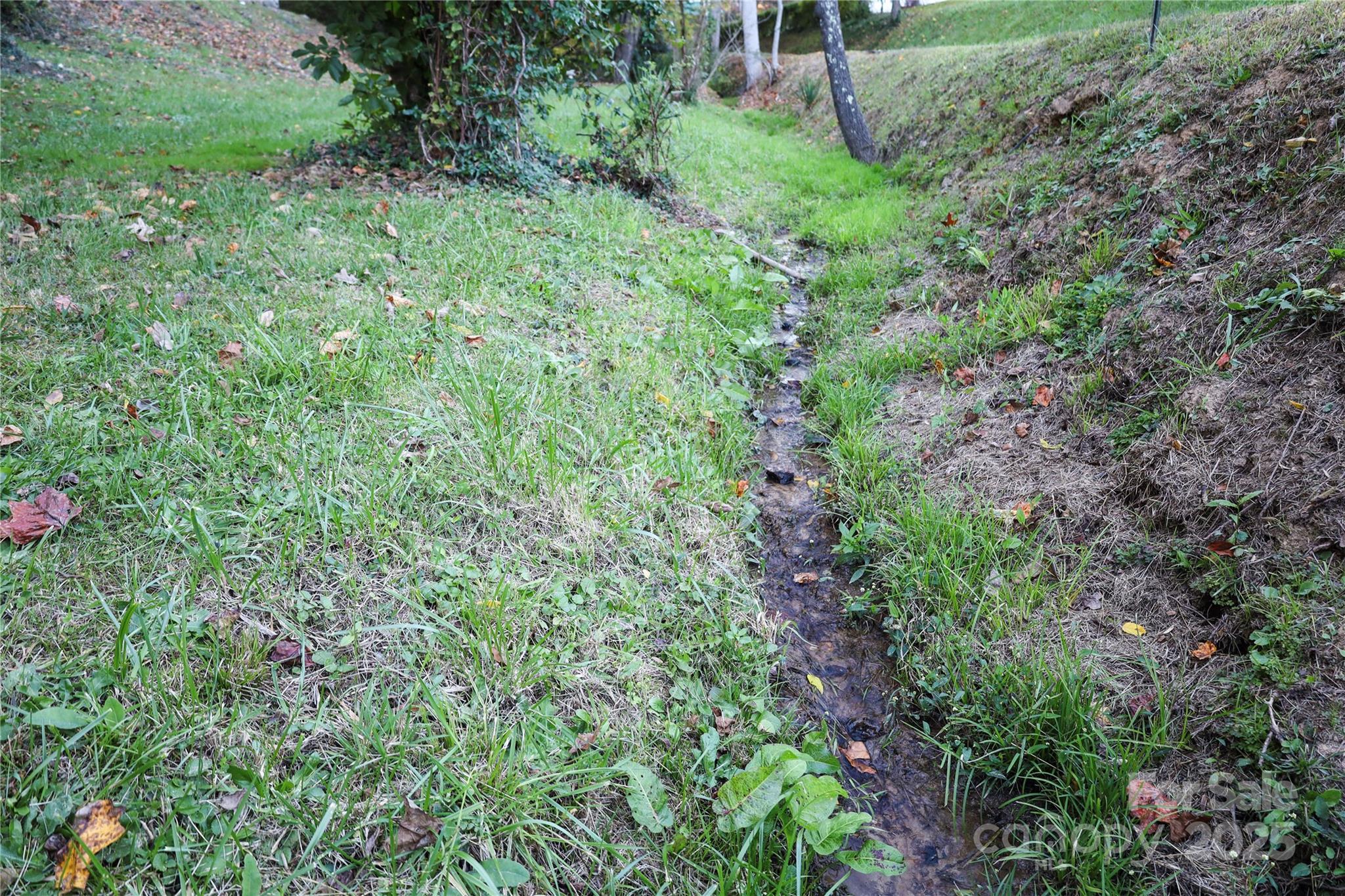 7 Windy Hollow Road Asheville, NC 28806 - Photo 34 of 39 a view of a lush green forest