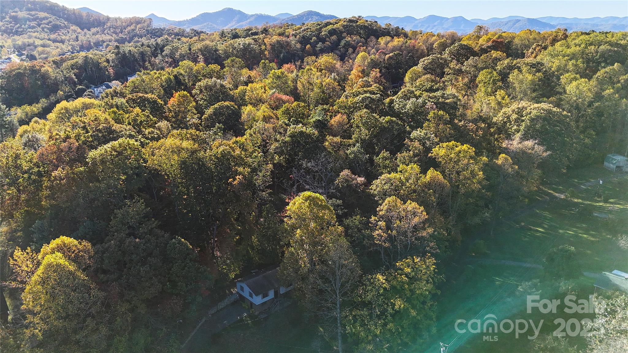 7 Windy Hollow Road Asheville, NC 28806 - Photo 35 of 39 a view of a tree