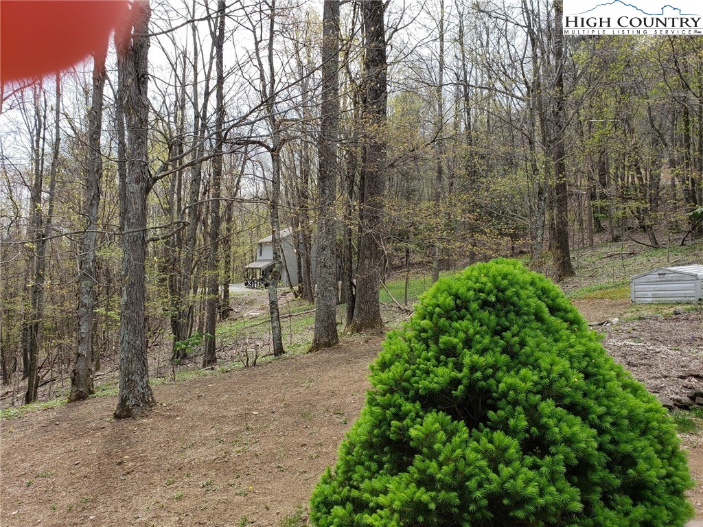 237 Green Knob Mtn Road Boone, NC 28607 - Photo 41 of 41 a view of a yard with plants and trees
