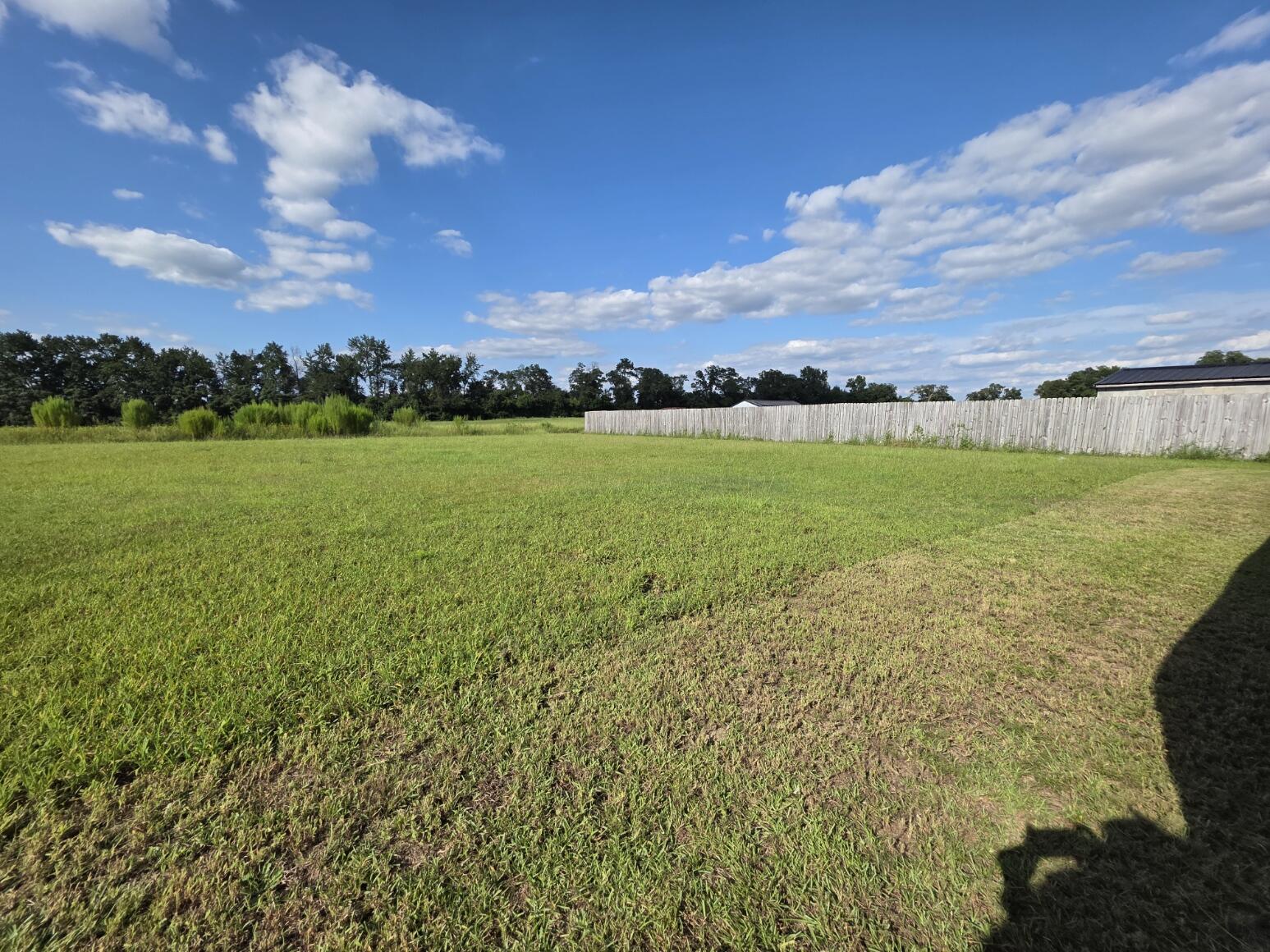 4105 Queen Chapel Road Dalzell, SC 29040 - Photo 39 of 40 Gallery Image 39