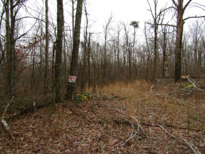 1492 Frazier Road Sparta, TN 38583 - Photo 3 of 16 Gallery Image 3