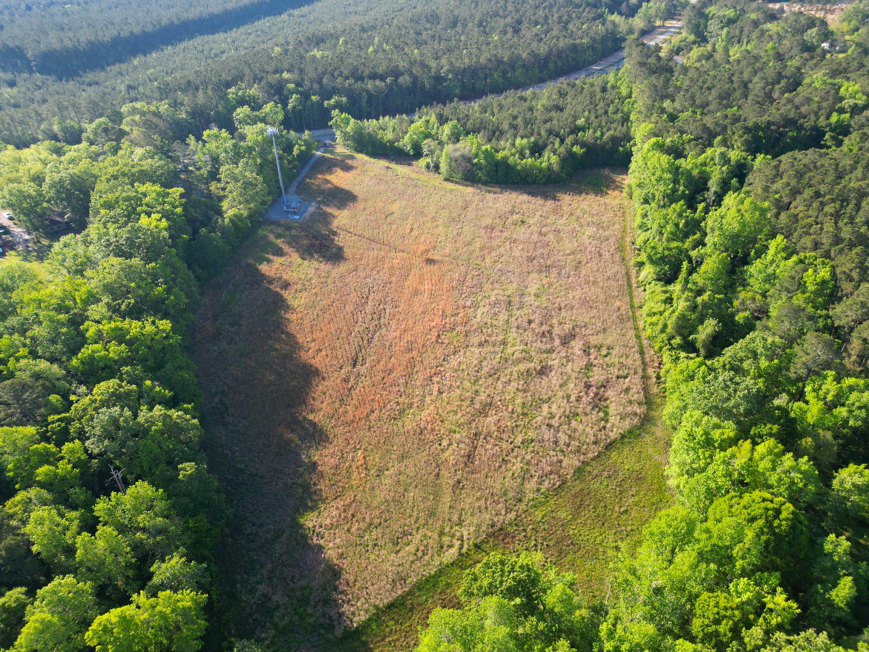 1162 Carter Road Ridgeville, SC 29472 - Photo 11 of 17 DJI_0852