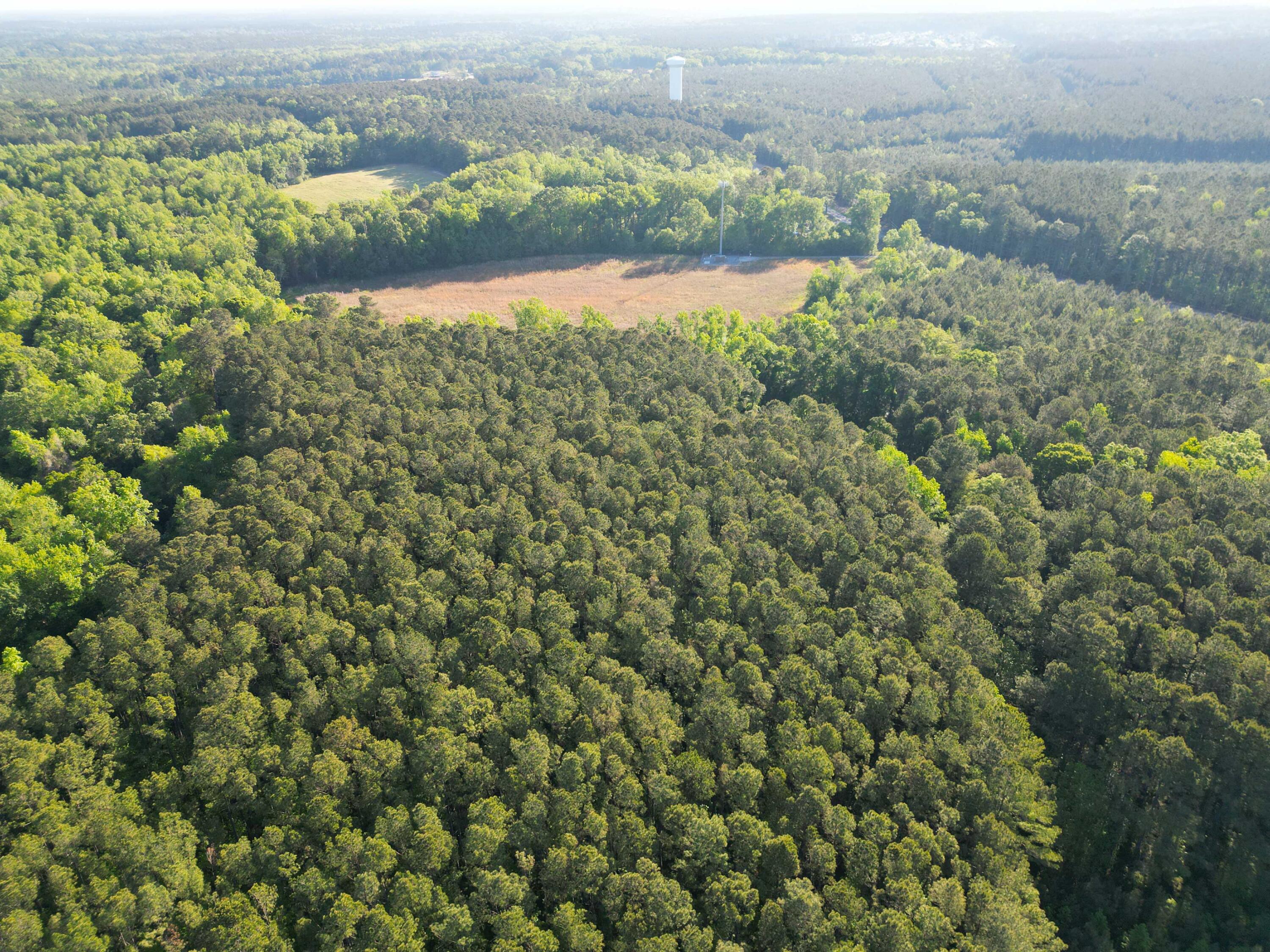 1162 Carter Road Ridgeville, SC 29472 - Photo 14 of 17 DJI_0856