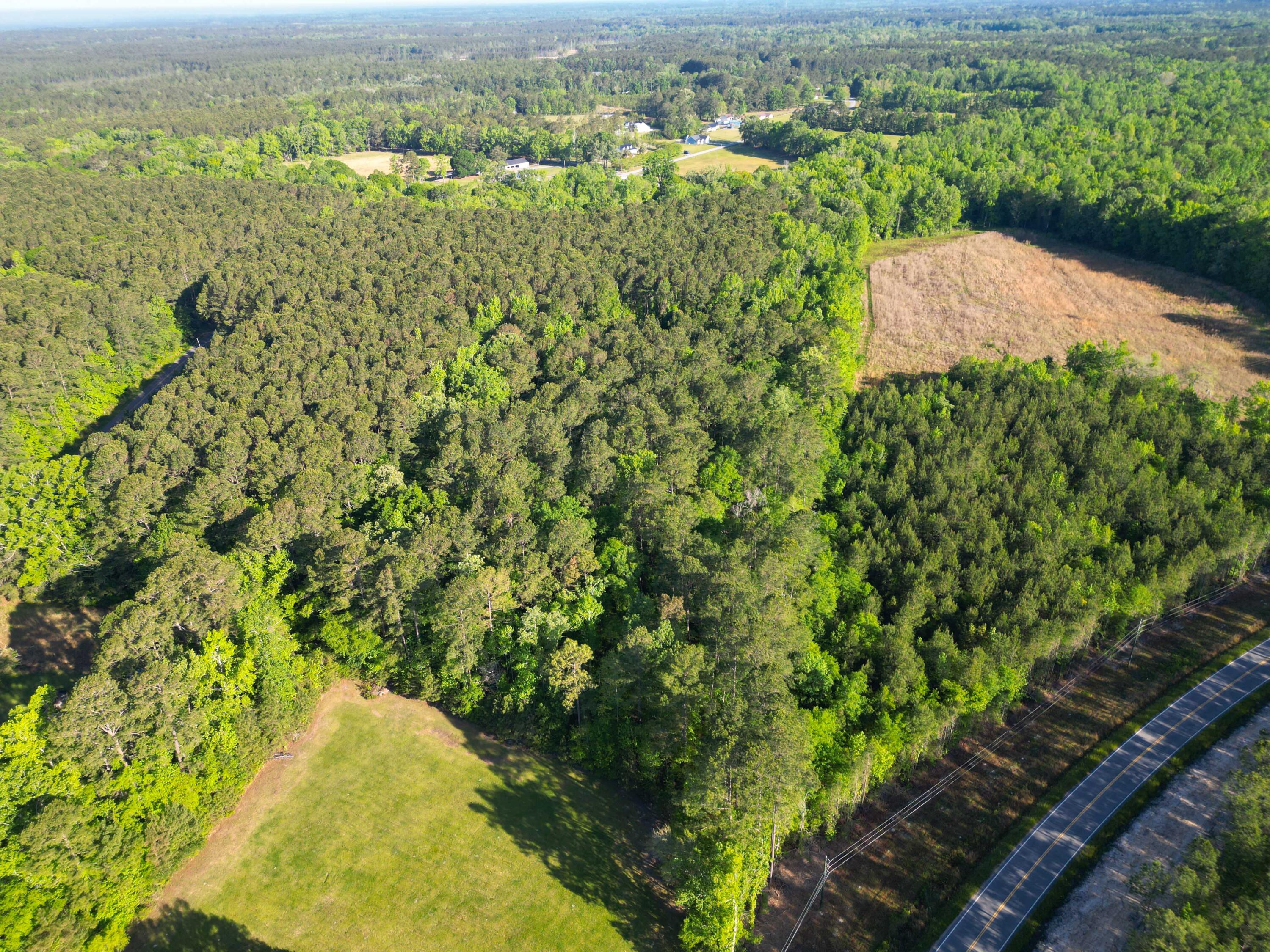 1162 Carter Road Ridgeville, SC 29472 - Photo 17 of 17 DJI_0858