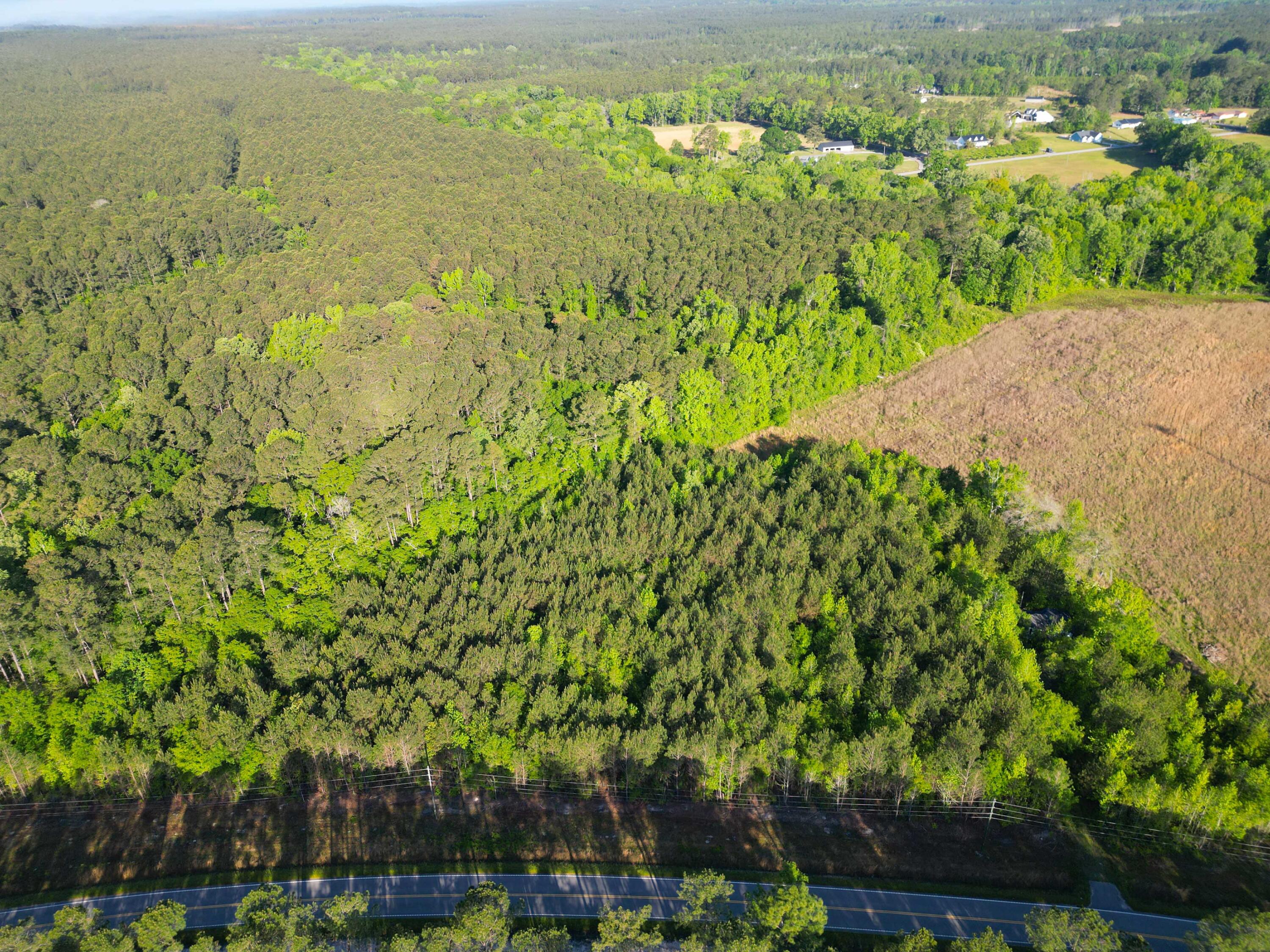 1162 Carter Road Ridgeville, SC 29472 - Photo 4 of 17 DJI_0848