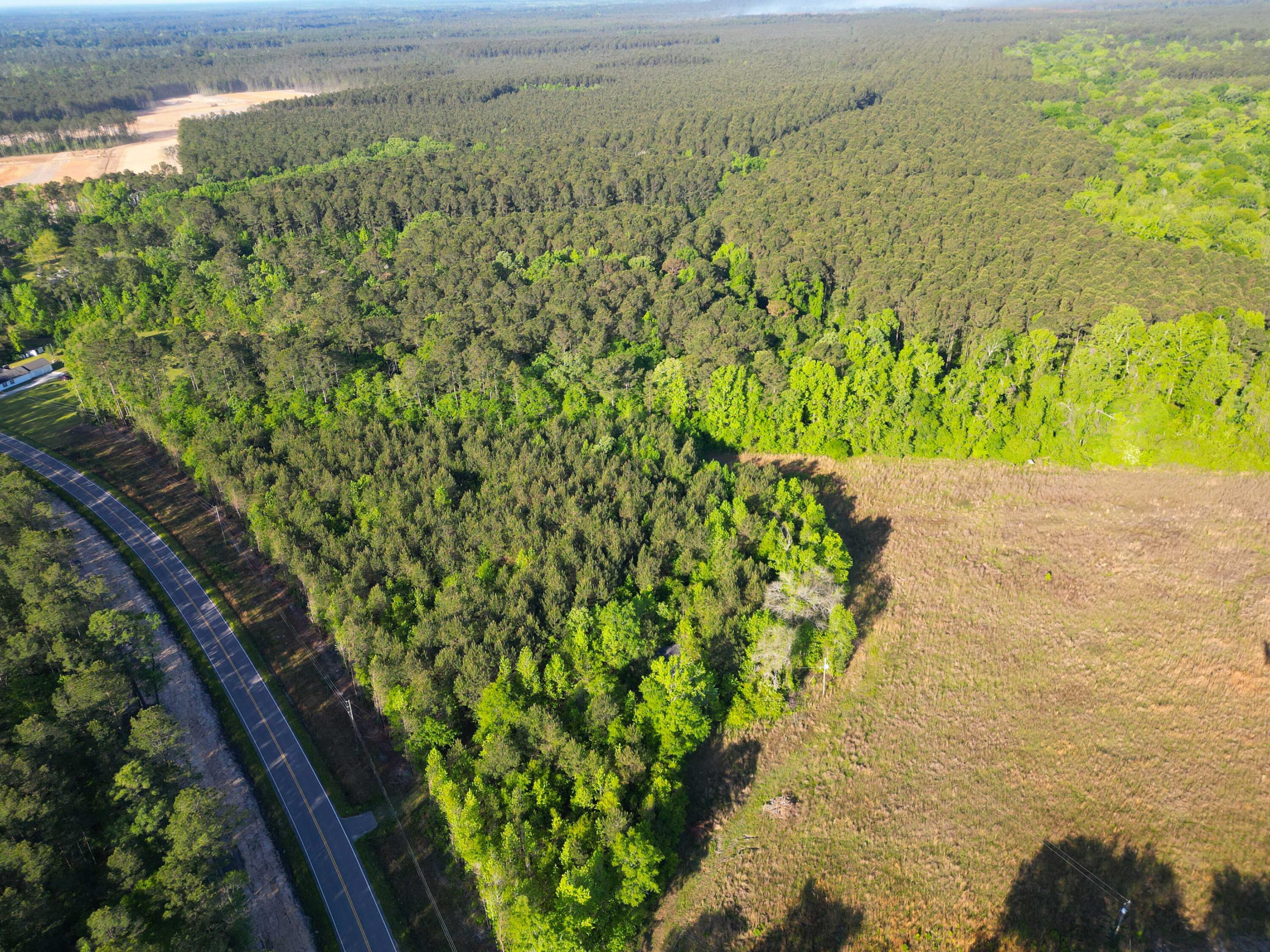 1162 Carter Road Ridgeville, SC 29472 - Photo 8 of 17 DJI_0850