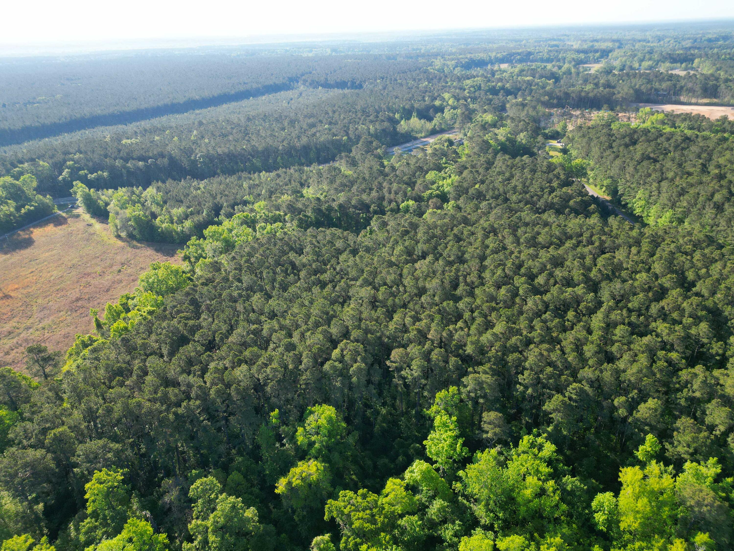 1162 Carter Road Ridgeville, SC 29472 - Photo 9 of 17 DJI_0853