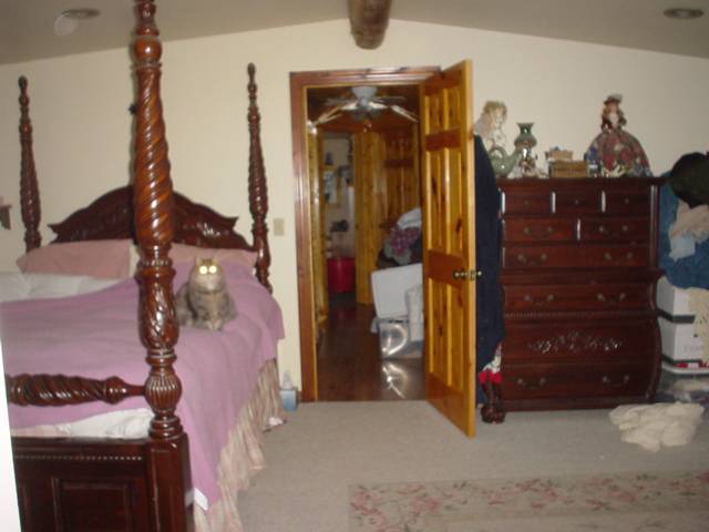 781 Western Larch Road Newport, WA 99156 - Photo 8 of 9 Gallery Image 8