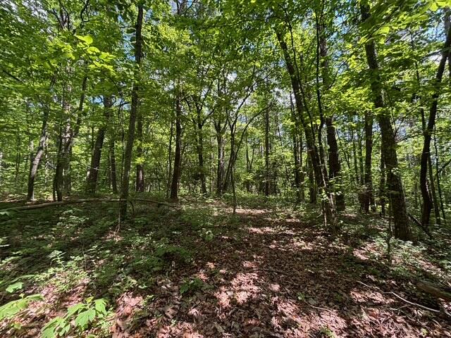 590 Black Mountain Road Dunlap, TN 37327 - Photo 15 of 20 IMG_6651