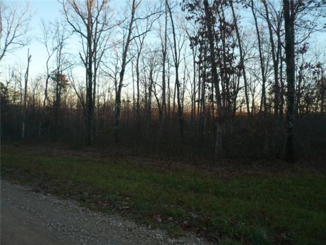 0 Hunters Ridge Altamont, TN 37301 - Photo 1 of 7