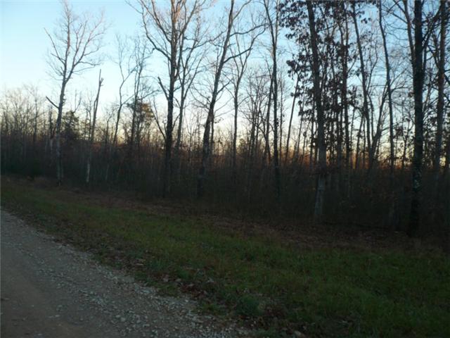 0 Hunters Ridge Altamont, TN 37301 - Photo 3 of 7