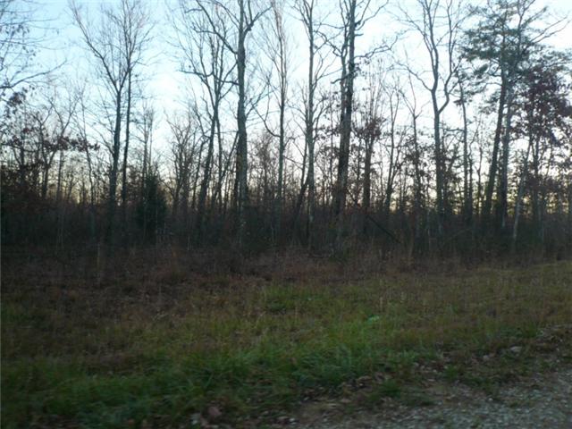 0 Hunters Ridge Altamont, TN 37301 - Photo 4 of 7
