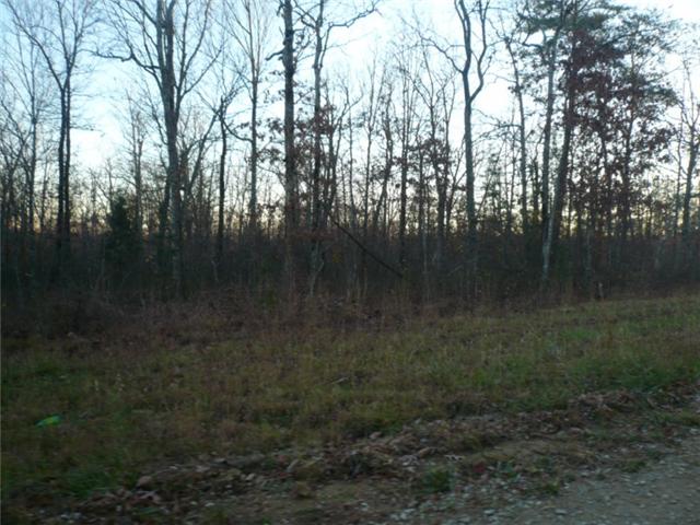 0 Hunters Ridge Altamont, TN 37301 - Photo 5 of 7