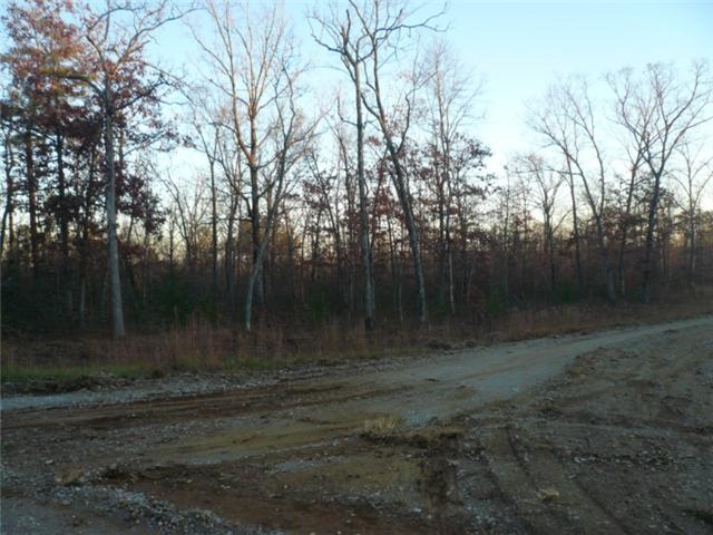 0 Hunters Ridge Altamont, TN 37301 - Photo 6 of 7