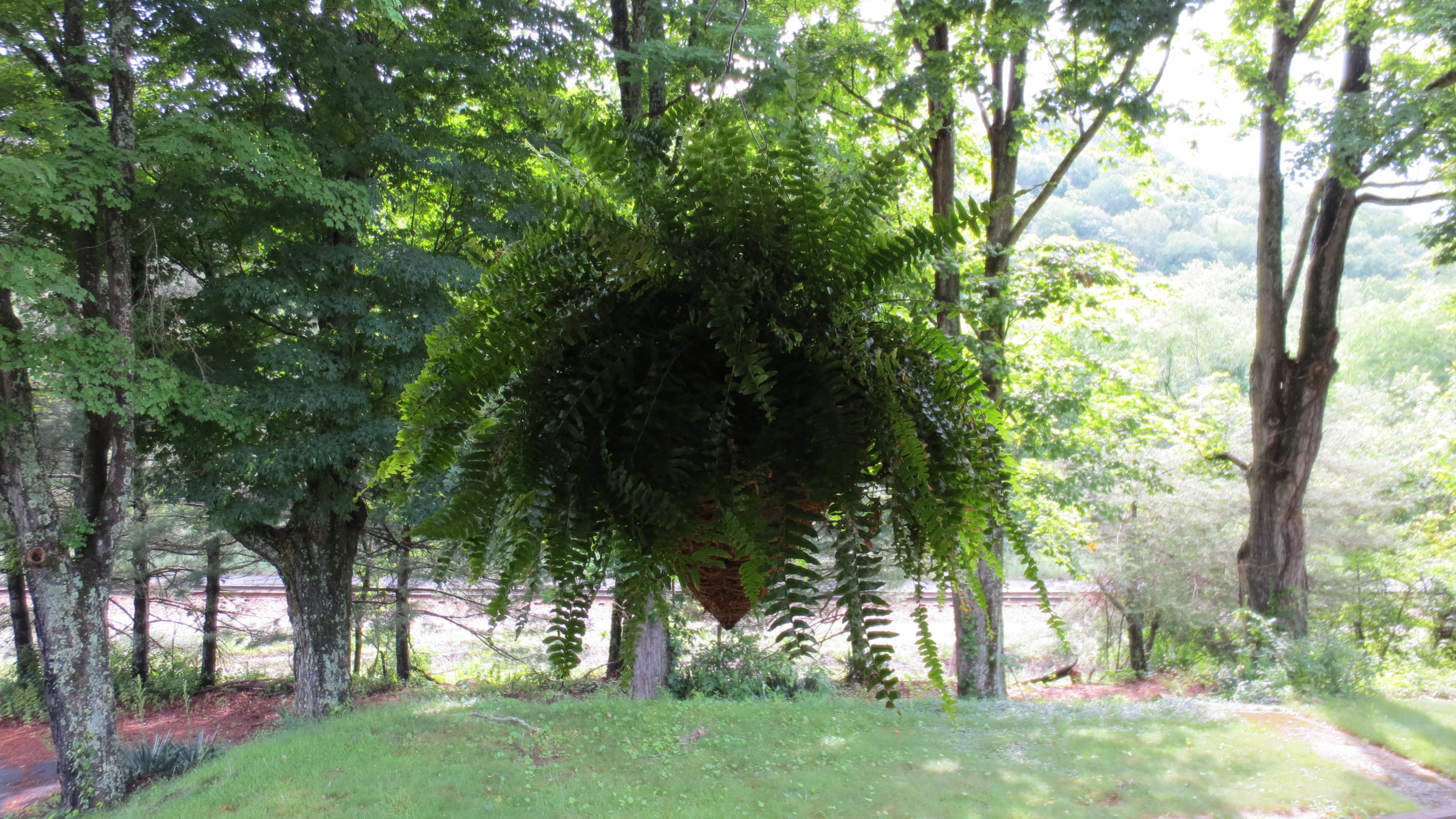 3352 Rockland Road Ronceverte, WV 24970 - Photo 28 of 41 Gallery Image 28