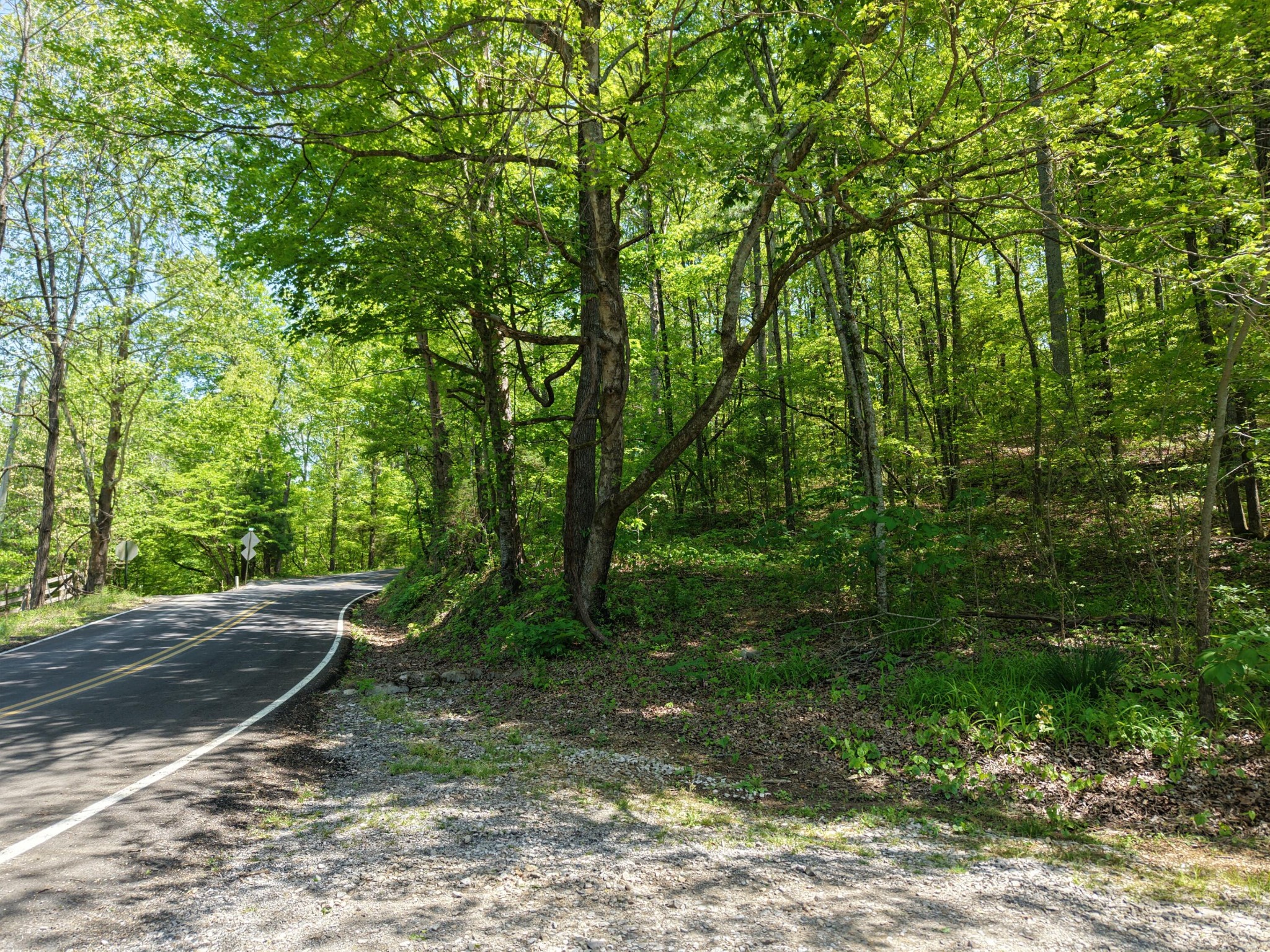 0 Sloans Gap Road Ocoee, TN 37361 - Photo 4 of 12