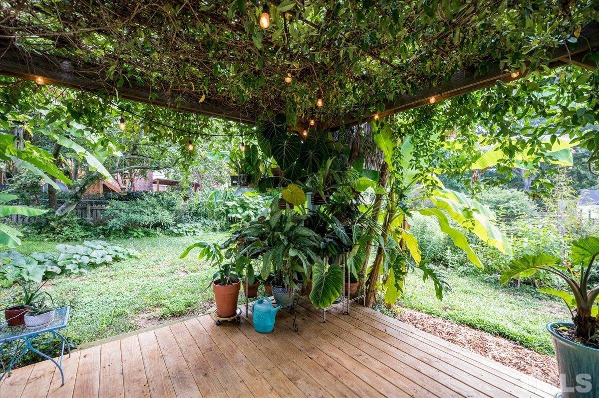 511 Frank Street Raleigh, NC 27604 - Photo 22 of 26 a view of a garden with potted plants and large trees